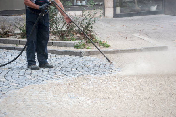 Best Graffiti Removal  in Parklawn, CA